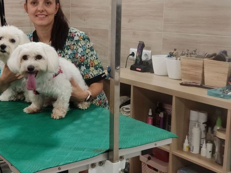 Daria Adžijević otvorila je salon za njegu kućnih ljubimaca u Lipiku